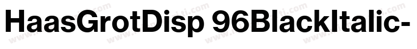 HaasGrotDisp 96BlackItalic字体转换